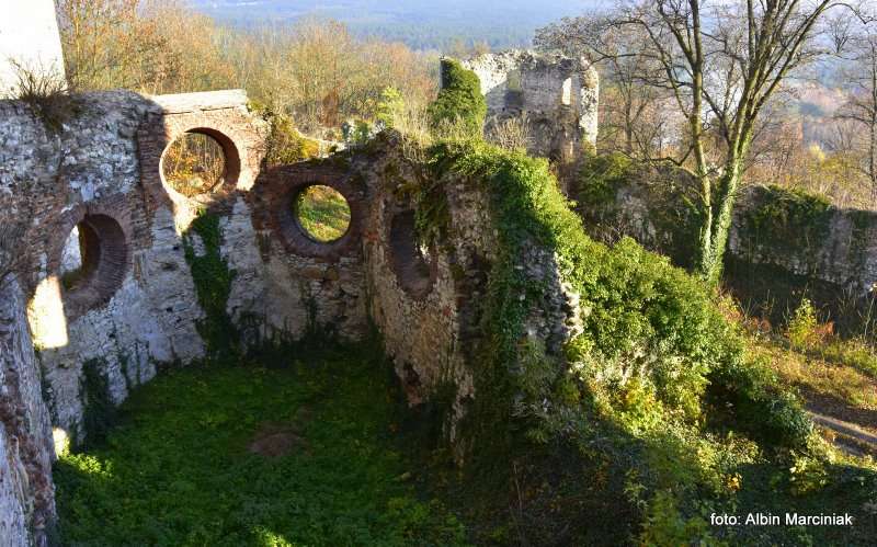 Zamek Tenczyn w Rudnie 12