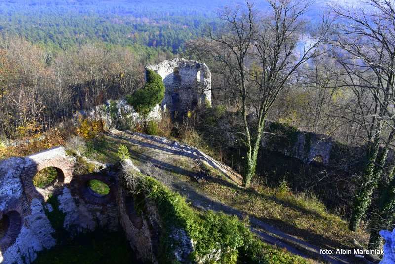 Zamek Tenczyn w Rudnie 15