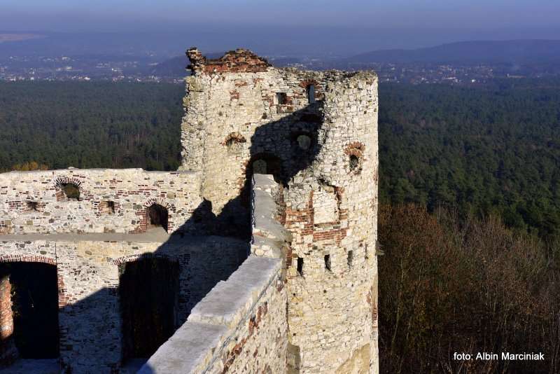 Zamek Tenczyn w Rudnie 16