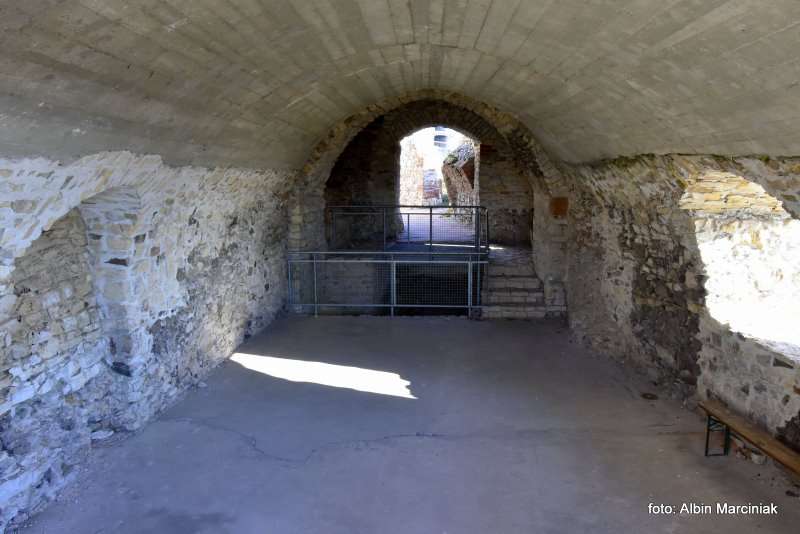 Zamek Tenczyn w Rudnie 28