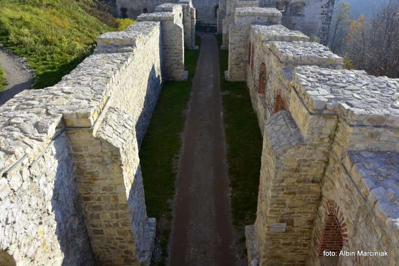 Zamek Tenczyn w Rudnie 29