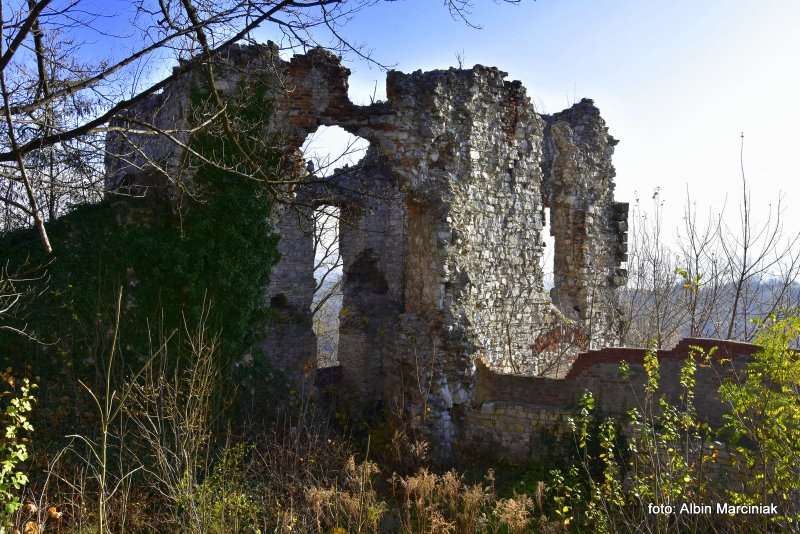 Zamek Tenczyn w Rudnie 32