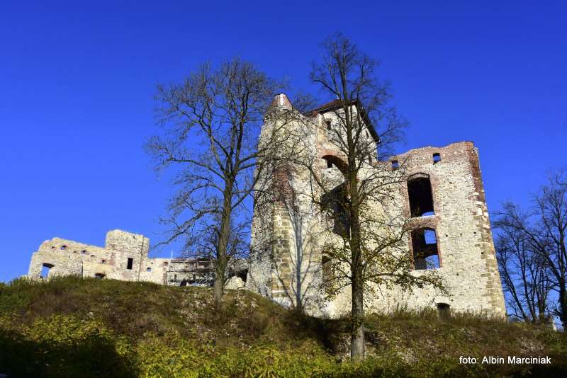 Zamek Tenczyn w Rudnie 33