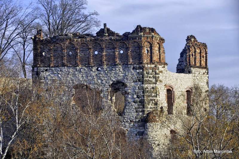 Zamek Tenczyn w Rudnie 39