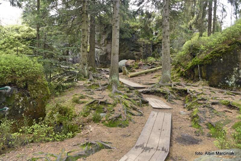 Szczeliniec Wielki 14