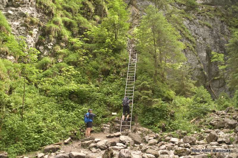 Smocza Jama w Wąwozie Kraków 1