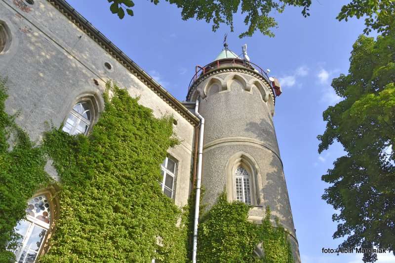 Zamek Leśna Skała w Szczytnej 25