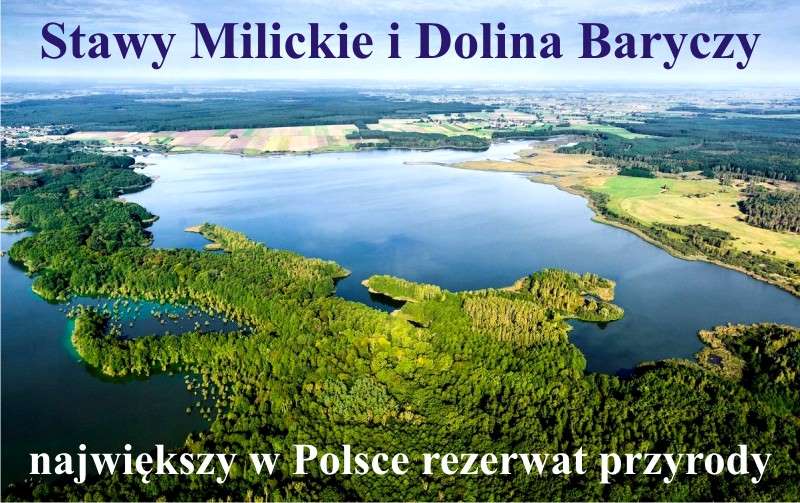 Stawy Milickie i Dolina Baryczy