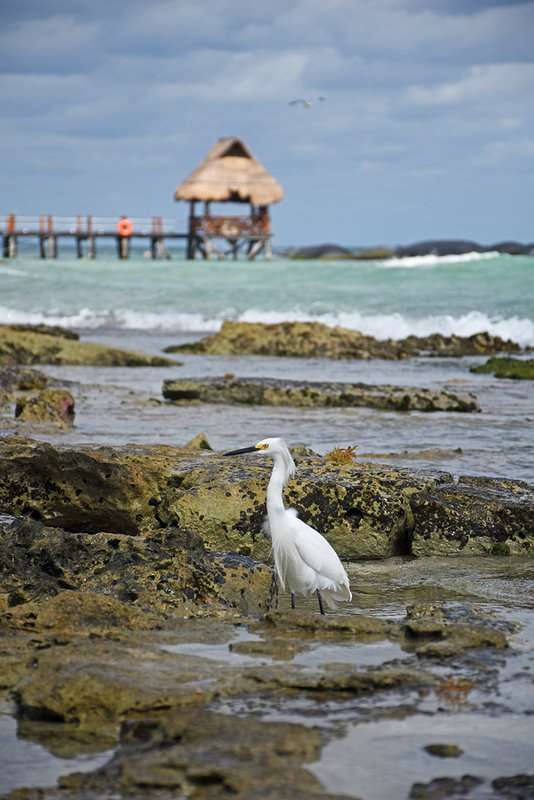 Meksyk Iwona Marczak 8
