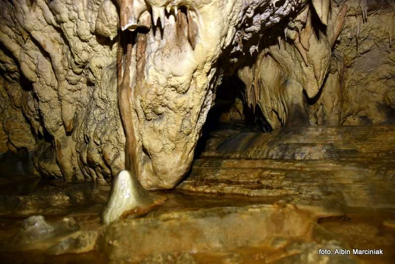 Jaskinia Raj Chęciny 6 stycznia 2019 14