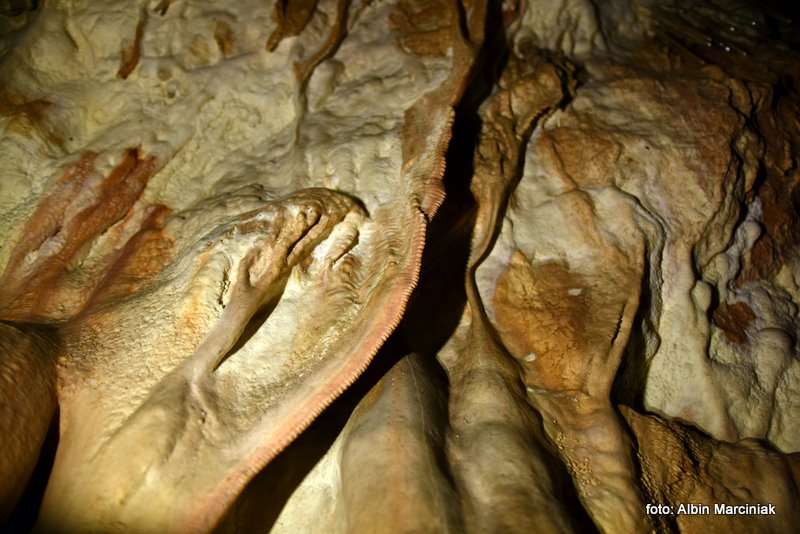 Jaskinia Raj Chęciny 6 stycznia 2019 33