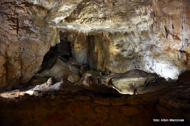 Jaskinia Raj Chęciny 6 stycznia 2019 5