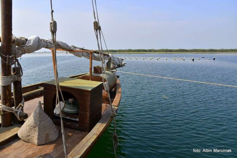 Farma Pereł w Ras al Khaimah w ZEA 10