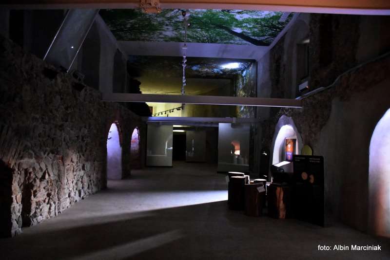 Zamek Grodno Zagorze Slaskie 8