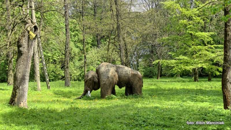 Zamek i dworek w Branicach 24