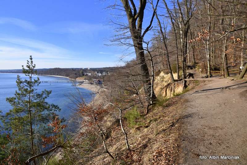 Klif Orłowski w Gdyni urwisko nad Bałtykiem 9