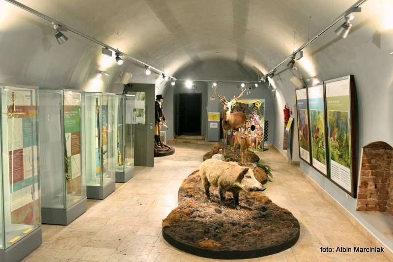 Podziemne Przejscie Turystyczne w Jaroslawiu 4