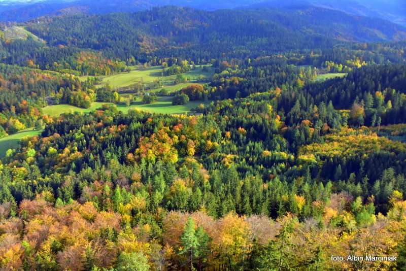 Sokoliki w Rudawach Janowickich na Dolnym Slasku Sokole Gory 15