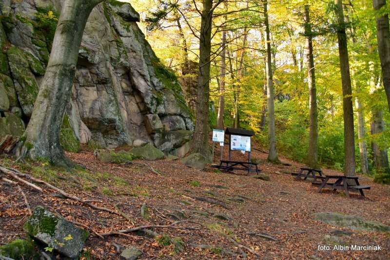 Sokoliki w Rudawach Janowickich na Dolnym Slasku Sokole Gory 20