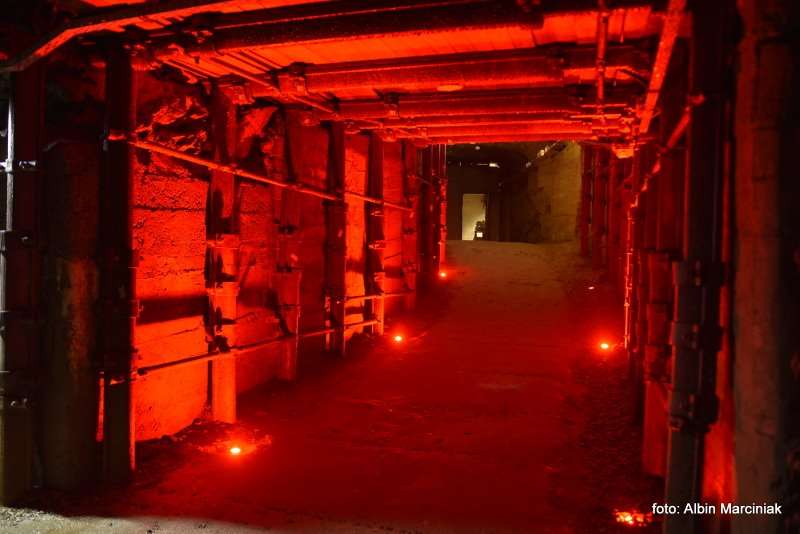 Projekt Arado Zaginione labolatorium Hitlera. Kamienna Gora na Dolnym Slasku 61