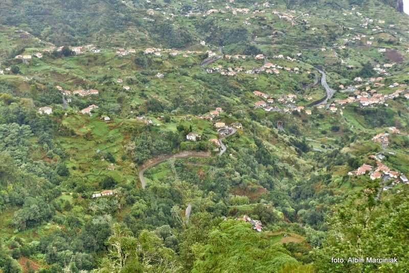 las wawrzynowy na Maderze 15