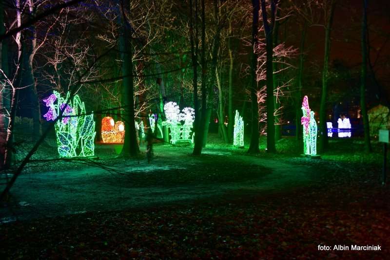 Ogrody Światła Magiczna Podróż w Zamku Topacz 12
