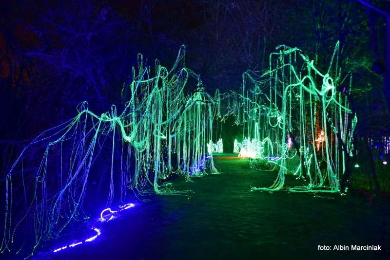 Ogrody Światła Magiczna Podróż w Zamku Topacz 17