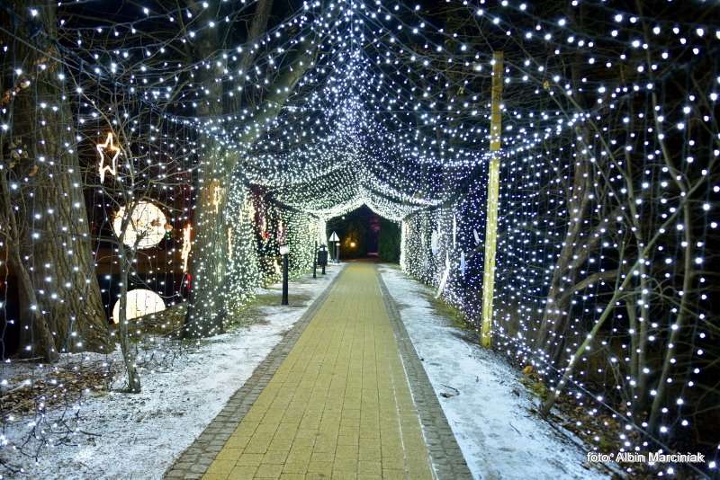 Ogrody Światła Magiczna Podróż w Zamku Topacz 7