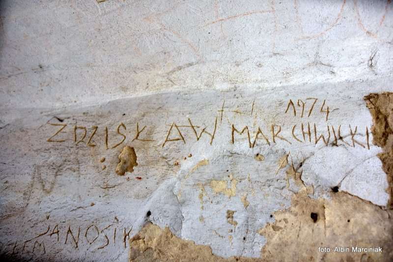 Zamek Janowiec wiosna 2019 foto Albin Marciniak 117