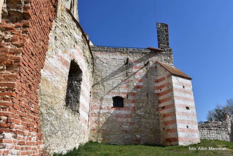 Zamek Janowiec wiosna 2019 foto Albin Marciniak 249