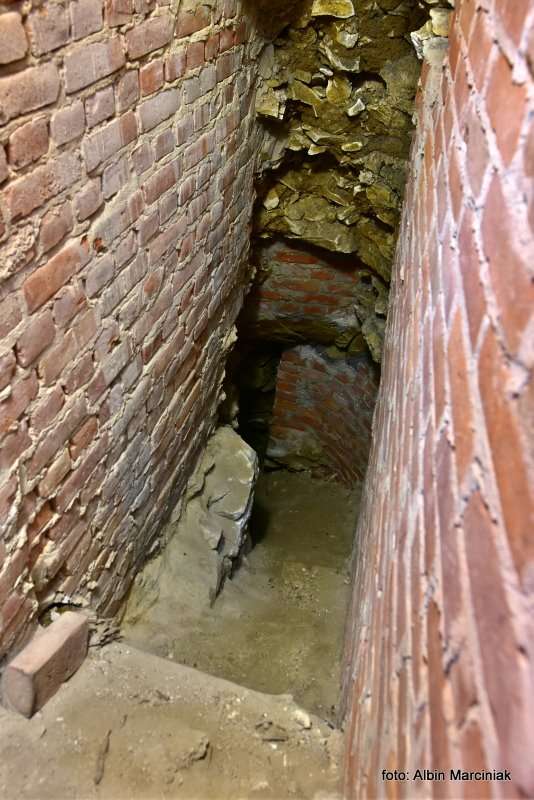 Zamek Janowiec wiosna 2019 foto Albin Marciniak 287