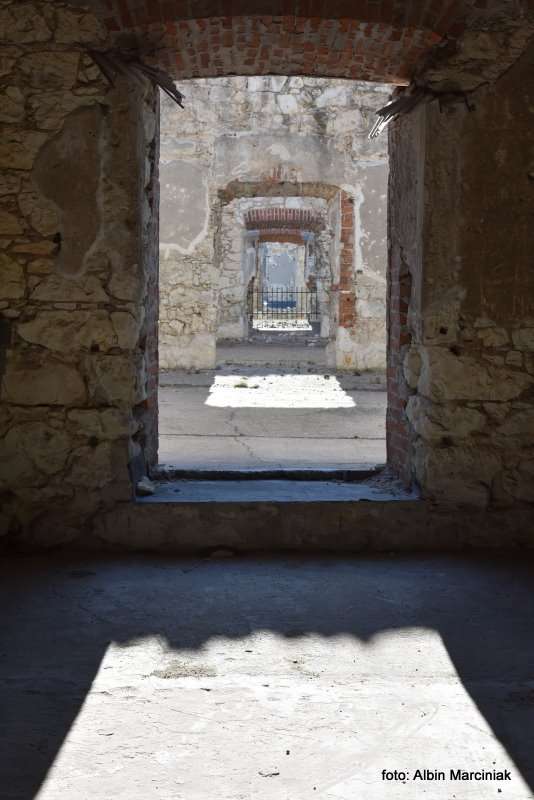 Zamek Janowiec wiosna 2019 foto Albin Marciniak 76