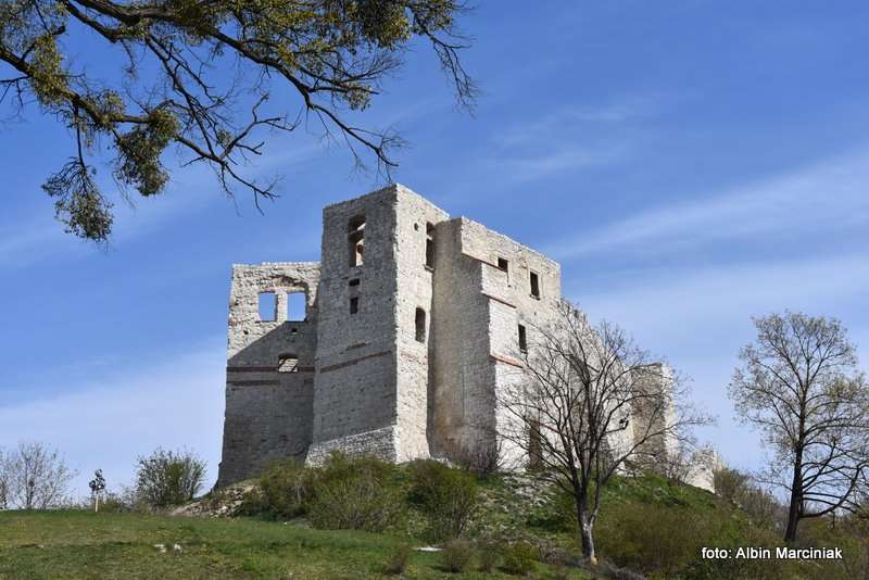 Zamek w Kazimierzu Dolnym 2