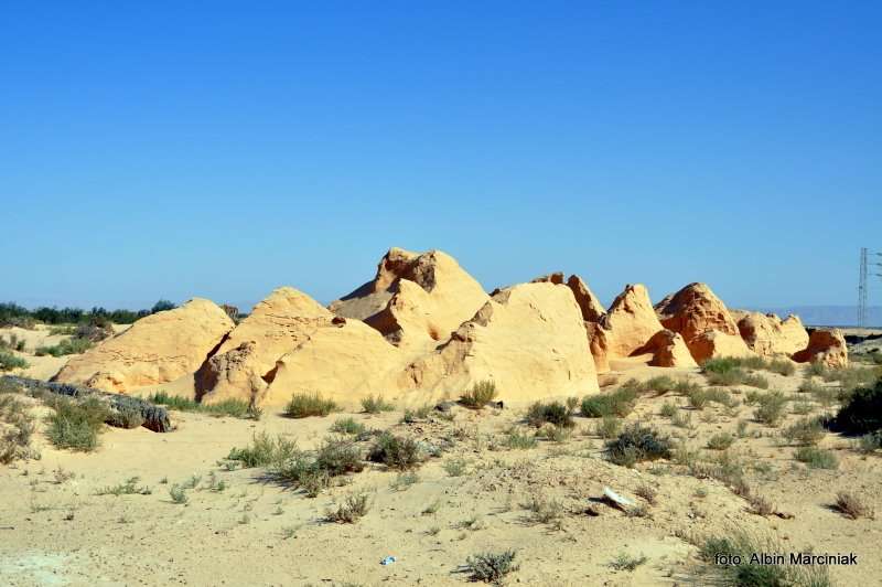 Fatnassa Kebili Tunisia Africa 13