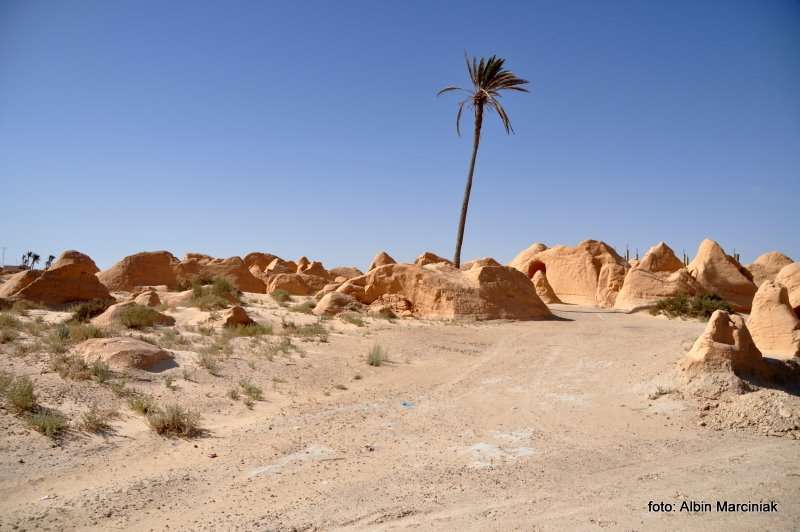 Fatnassa Kebili Tunisia Africa 15