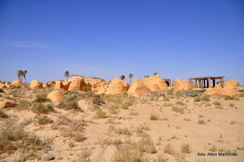 Fatnassa Kebili Tunisia Africa 29