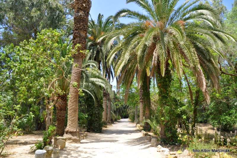 Termy Antoniusza w Tunezji Tunis 2