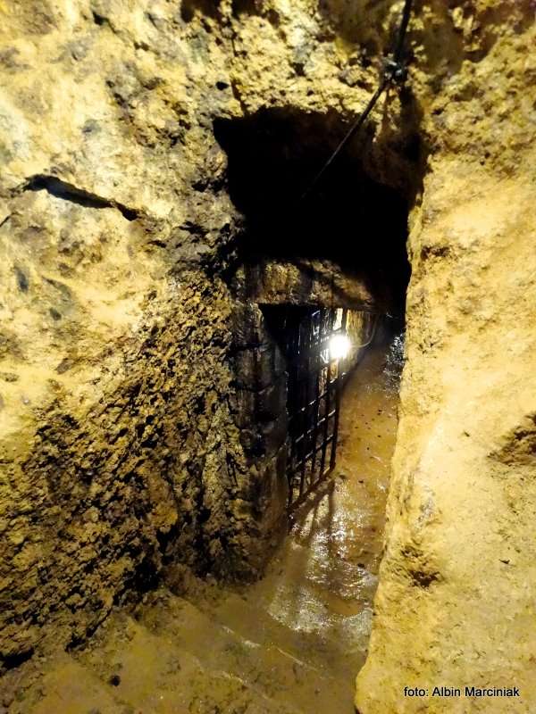 Kopalnia złota Rosia Montana w Rumunii 28