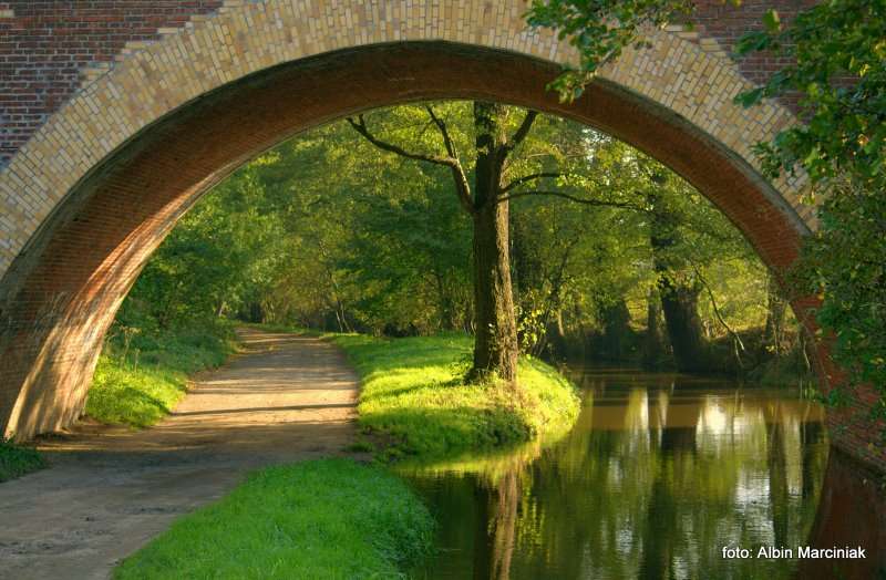 Milicz i Dolina Baryczy Stawy Milickie 2