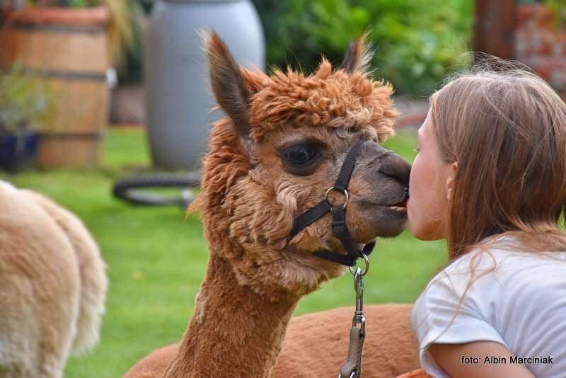 Milicz i Dolina Baryczy Stawy Milickie 28