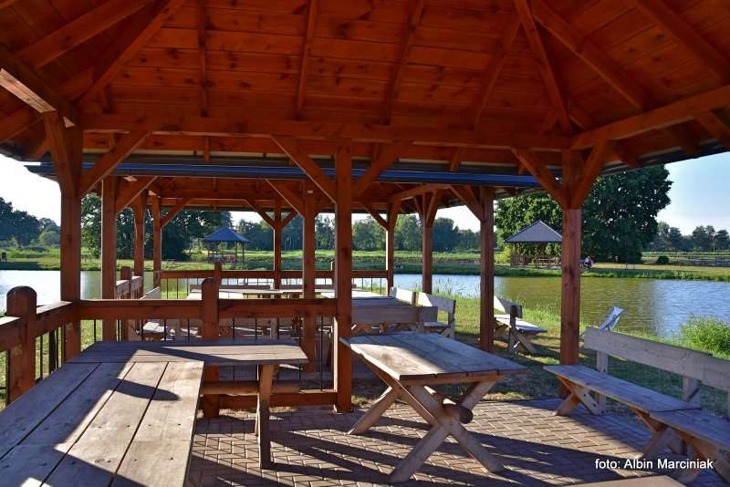 Milicz i Dolina Baryczy Stawy Milickie 38