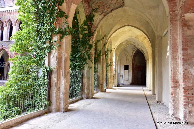 Pałac Marianny Orańskiej w Kamieńcu Ząbkowickim 12