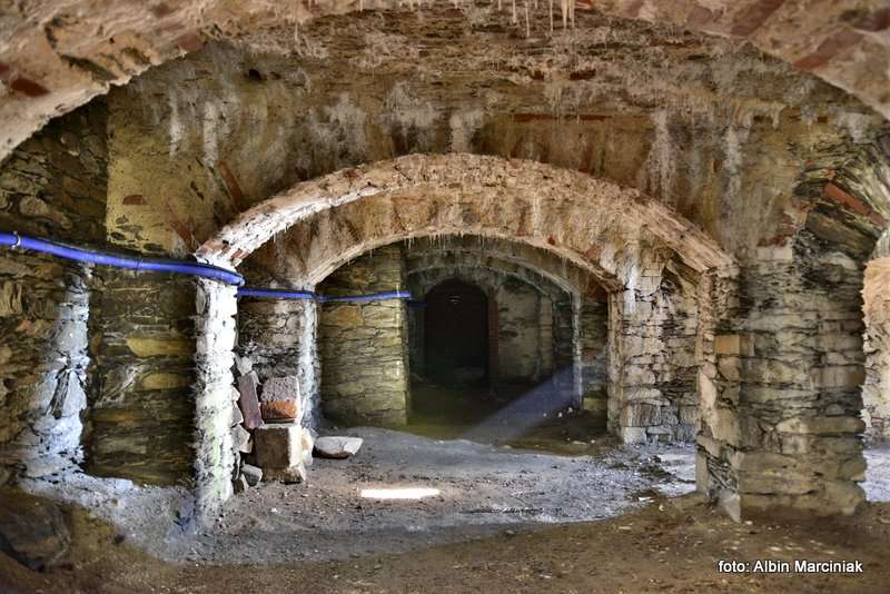 Pałac Marianny Orańskiej w Kamieńcu Ząbkowickim 3