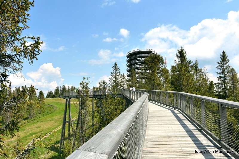 wieża widokowa ścieżka w koronach Słowacja 11