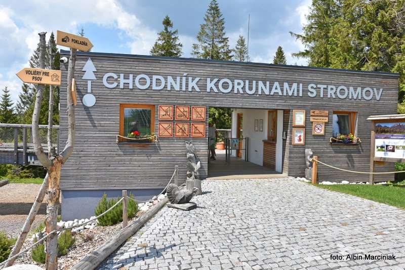 wieża widokowa ścieżka w koronach Słowacja 7