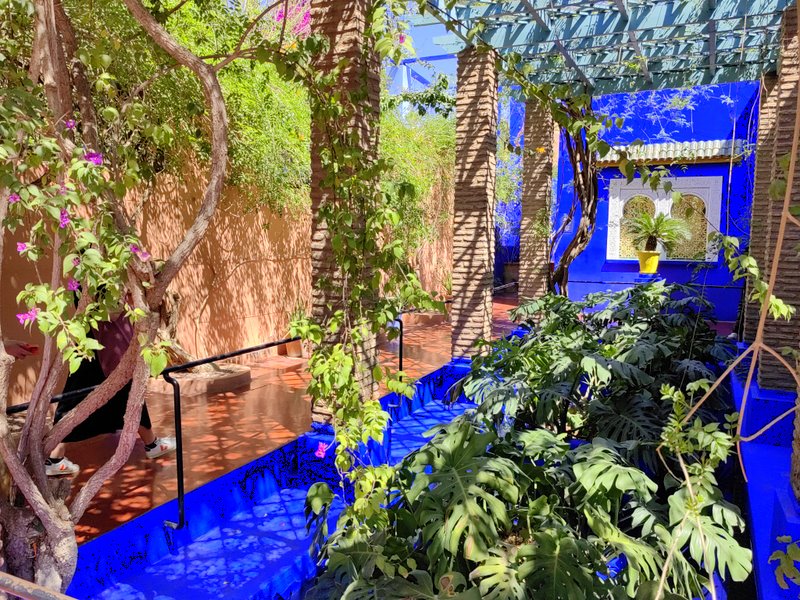 Ogrody Majorelle - Jardin Majorelle, zwane także Jardin Bou Saf