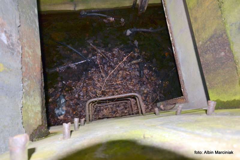 bunkier schron kolejowy w Jeleniu 10