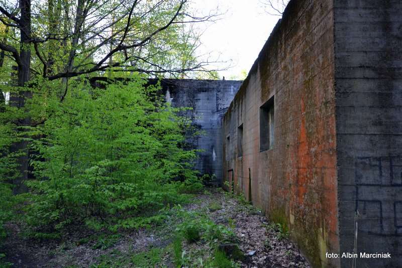 Bunkier - schron kolejowy Jeleń