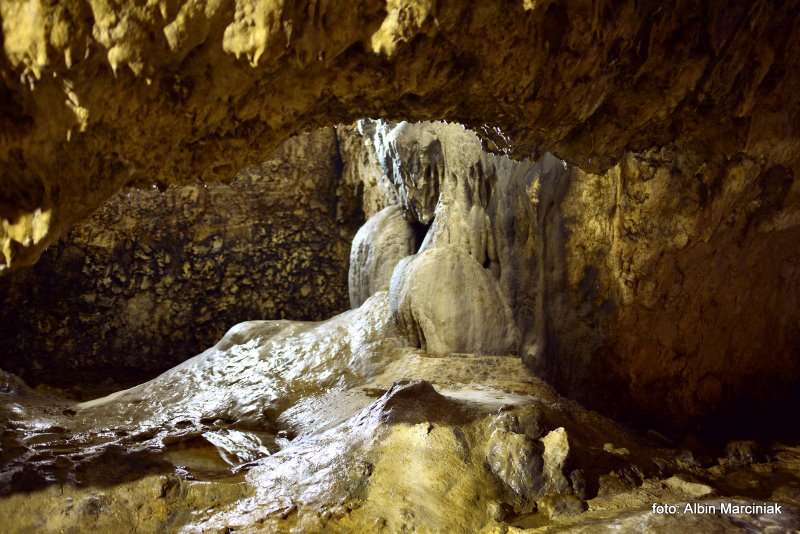 Jaskinia Nietoperzowa 23