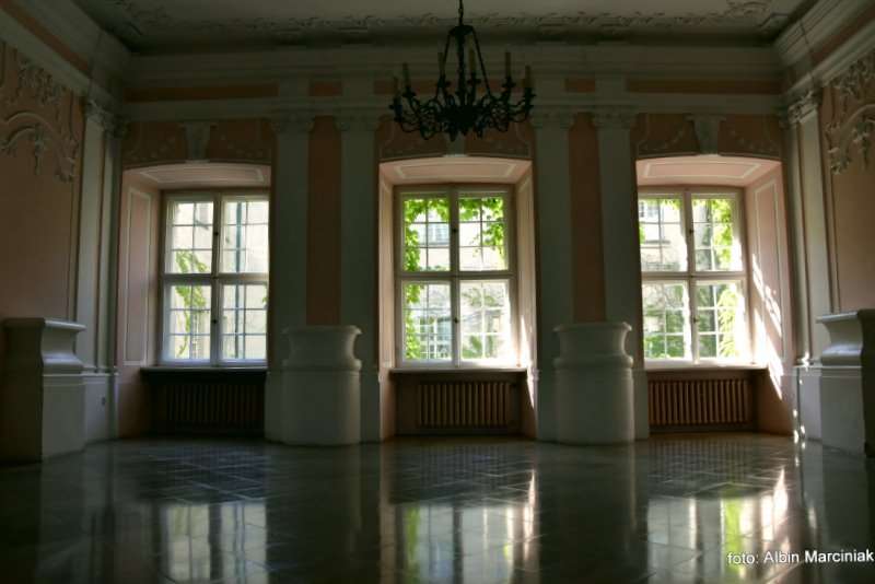 Zamek w Rydzynie wnetrza Wielkopolska 3